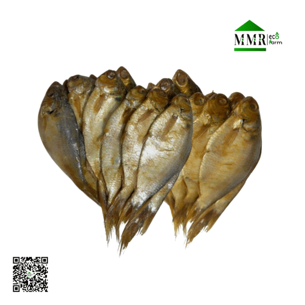 সামুদ্রিক চ্যাপা শুটকি - Samudrik Chapaa Shutki